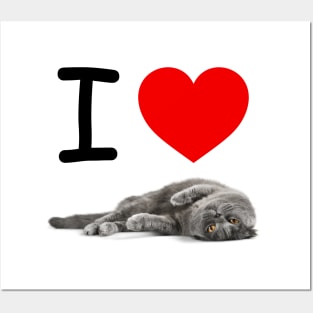 I HEART SMOKEY GRAY CATS Posters and Art